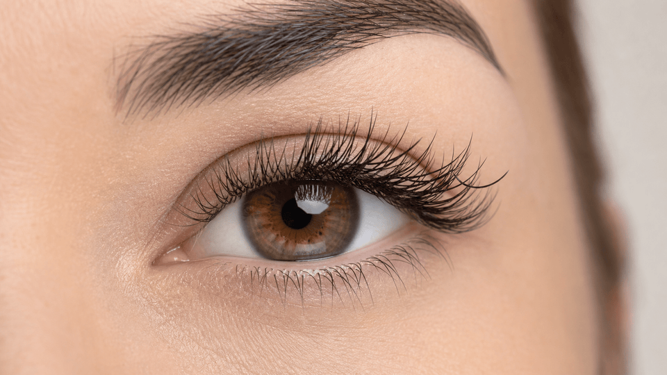 Why Do Lash Extensions Twist? Causes & What to Do - BOBOLASH